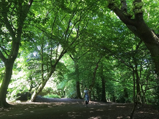 Hidden Gem – is there something about the area no one really knows about? - Martyn Gerrard
